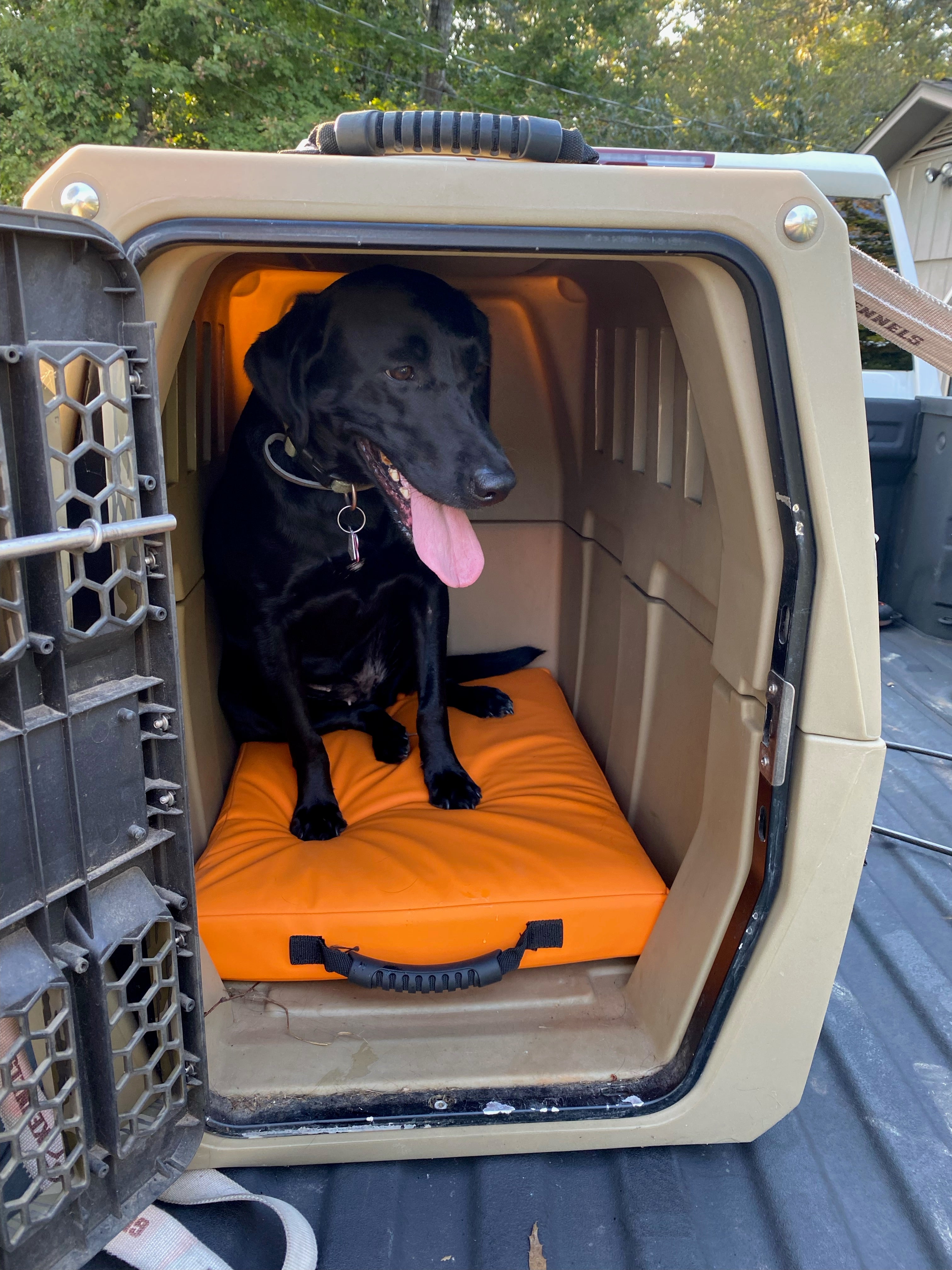 AWS - K9 Performance Pad with Orthopedic Support - Intermediate Orange