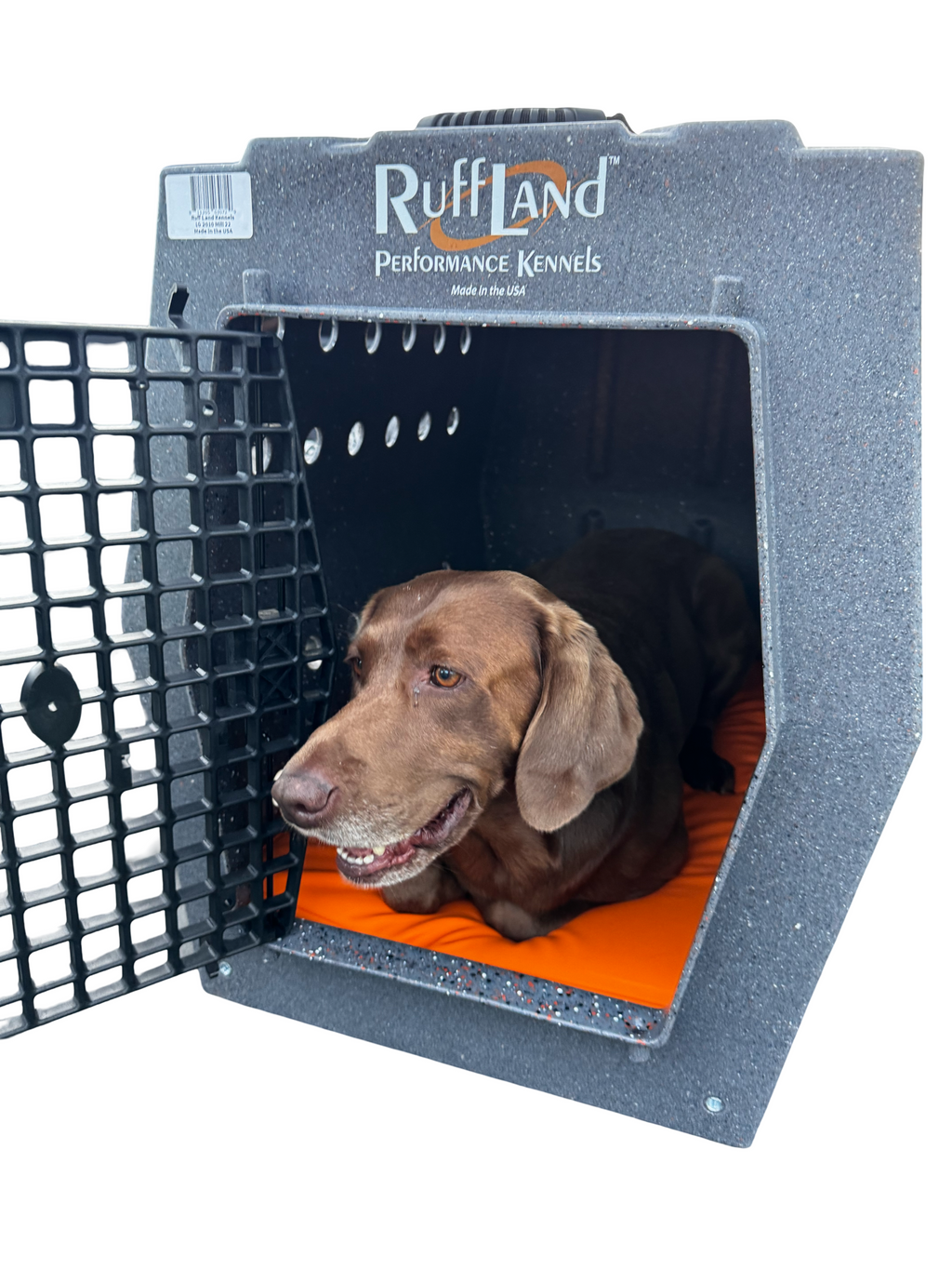 AWS - K9 Performance Pad with Orthopedic Support - Large Orange