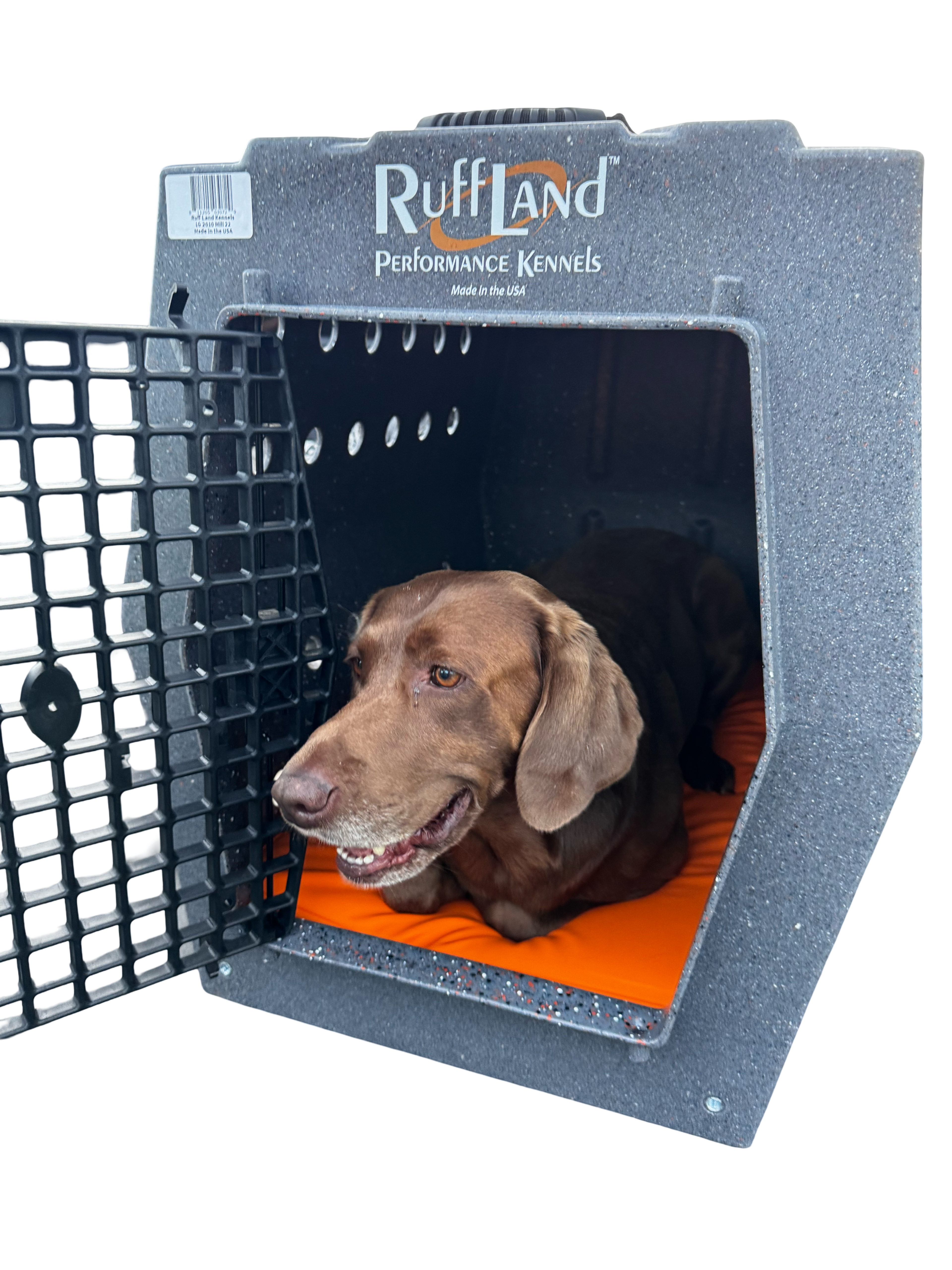 AWS - K9 Performance Pad with Orthopedic Support - Large Orange